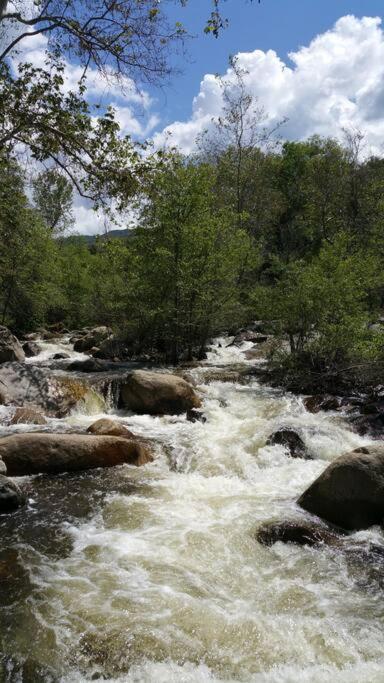 River Retreat Cabin In Three Rivers - Near Snp Villa ภายนอก รูปภาพ