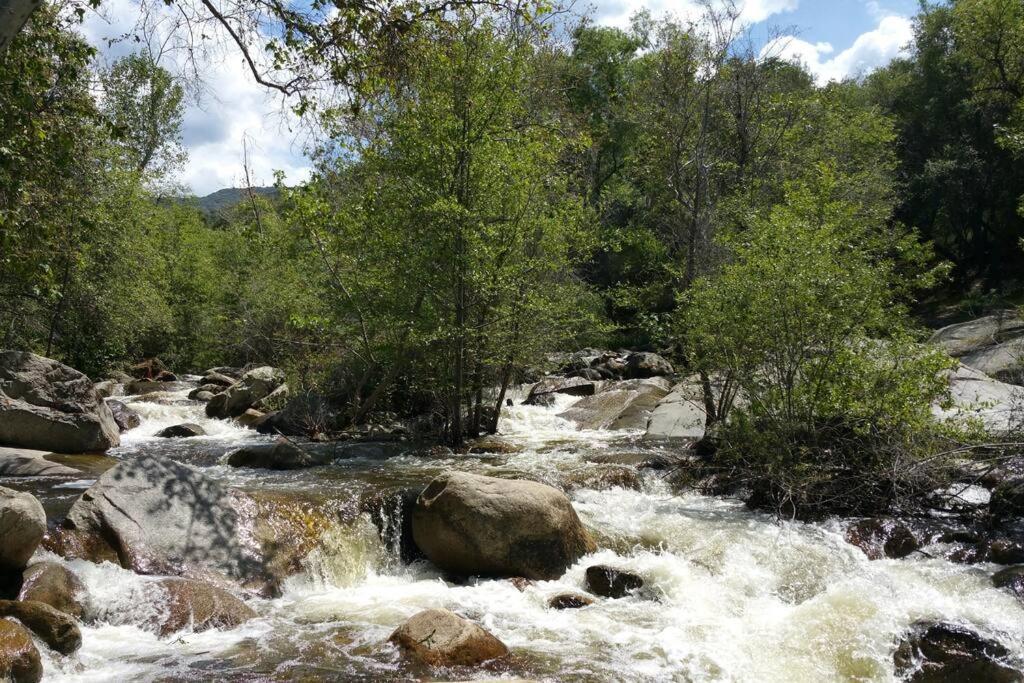 River Retreat Cabin In Three Rivers - Near Snp Villa ภายนอก รูปภาพ